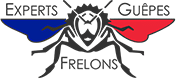 Experts Guêpes et Frelons Logo