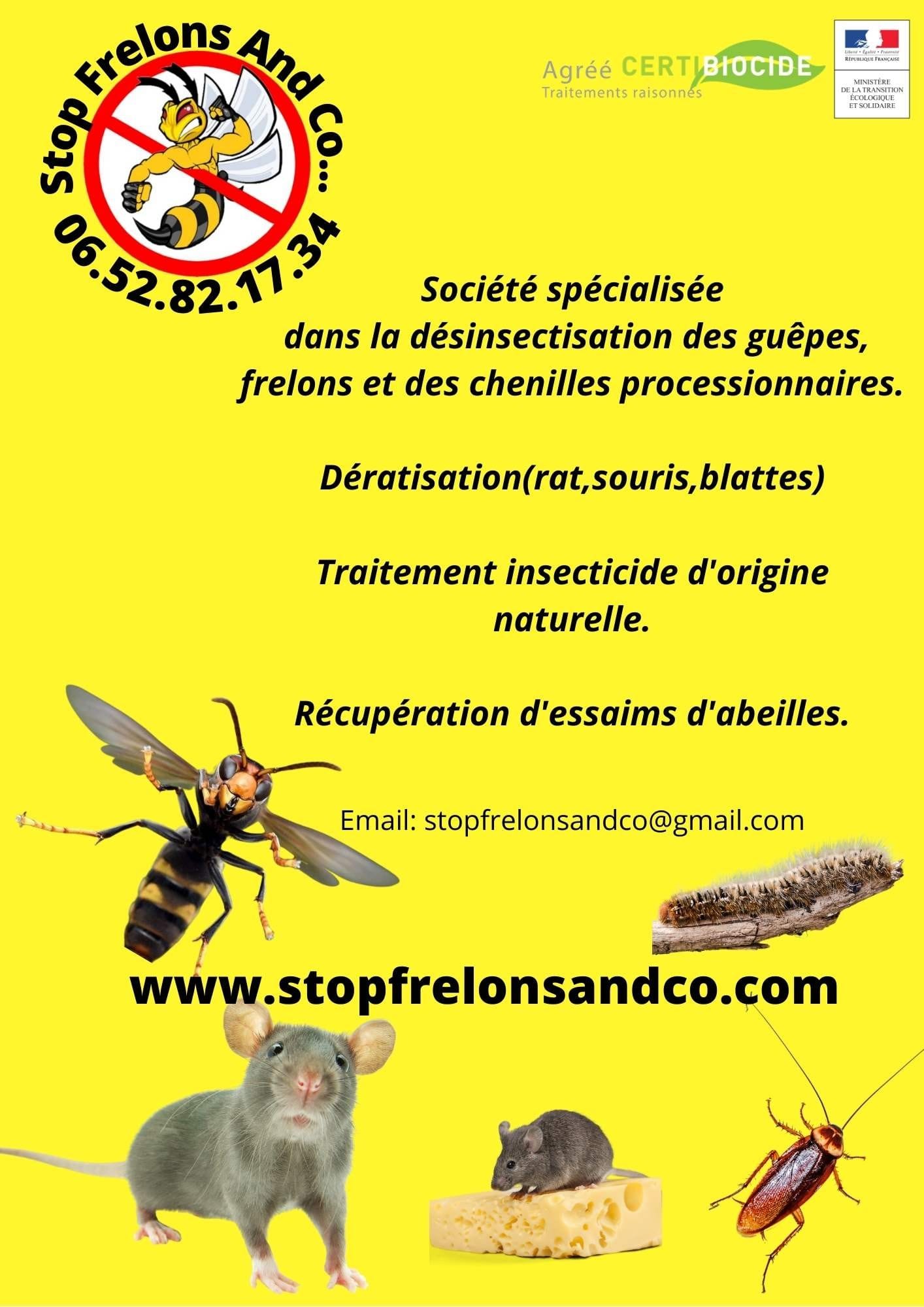Stop-frelons-and-co-Bouche-du-Rhone.jpg