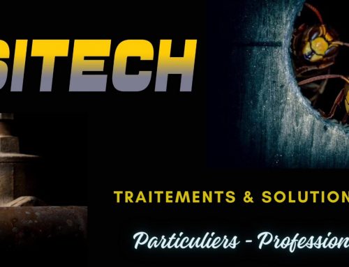 Nuisitech – Traitements & Solutions Anti-Nuisibles dans le Sud-Ouest