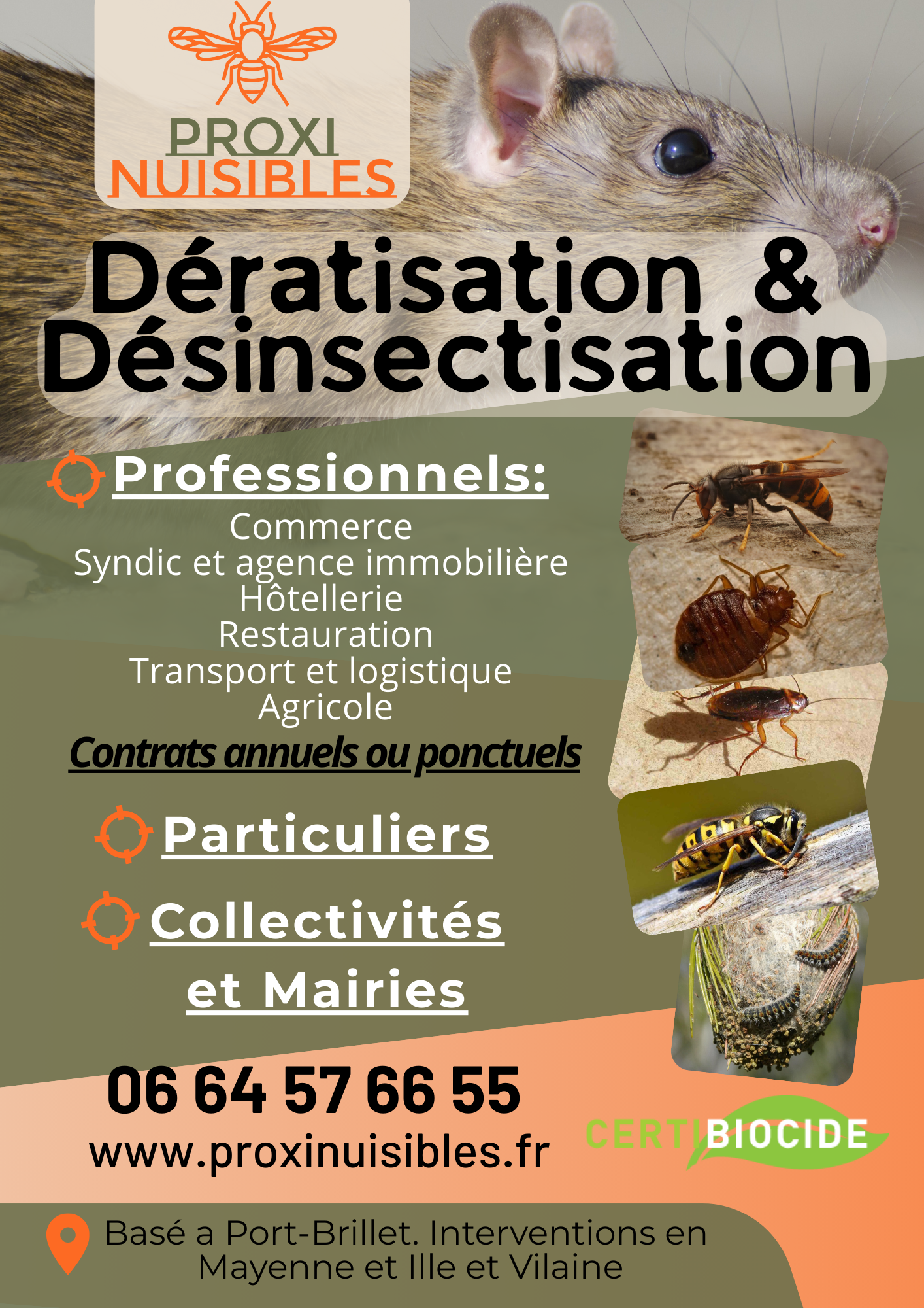Flyer Dératisation à Laval, désinsectisation à Vitré, traitement frelons St Berthevin, traitement guêpe