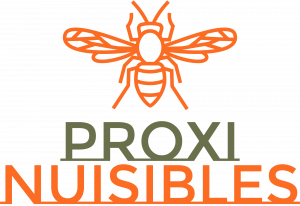 Dératisation et désinsectisation en Mayenne et Ille et Vilaine