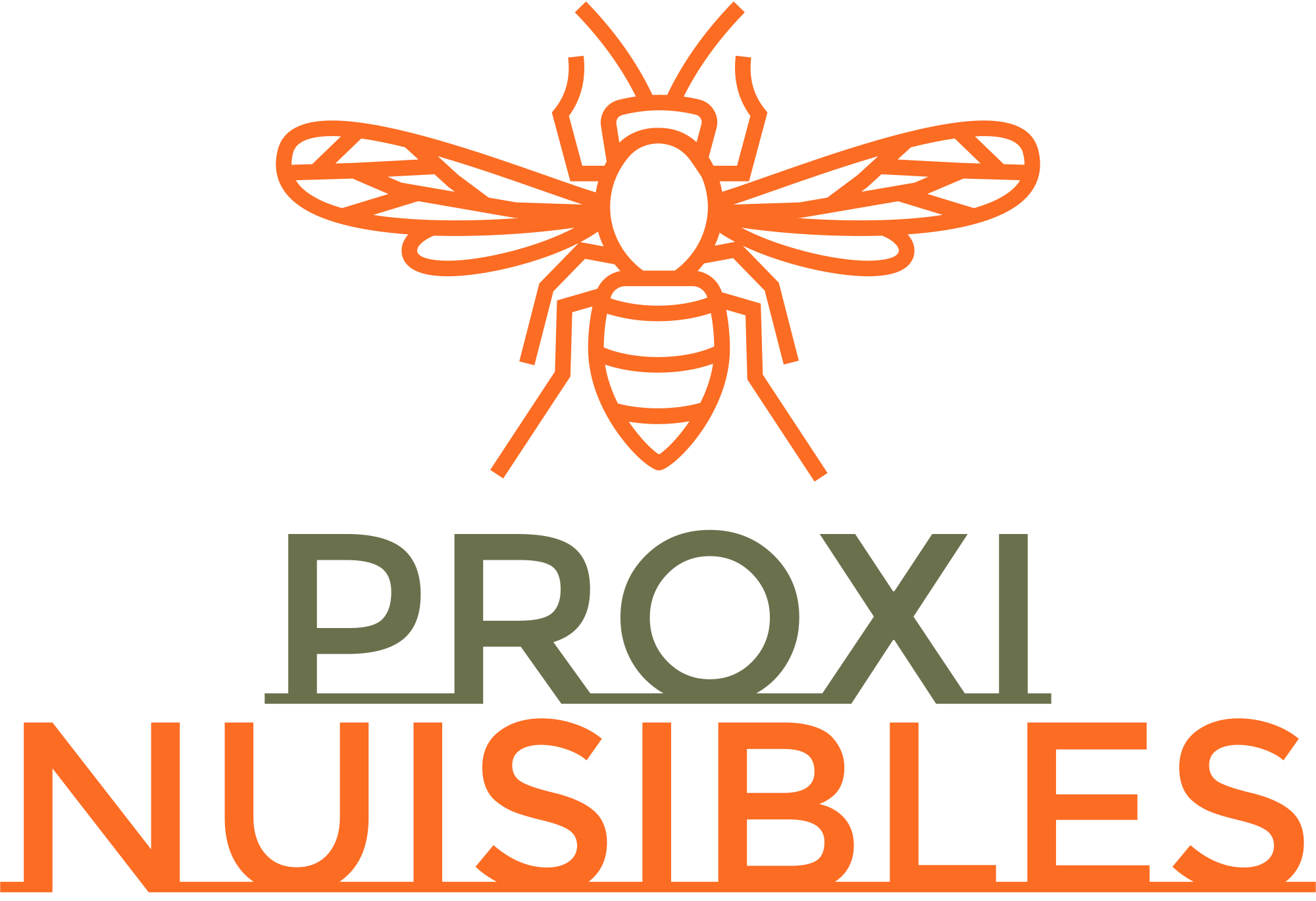 destruction nids frelons